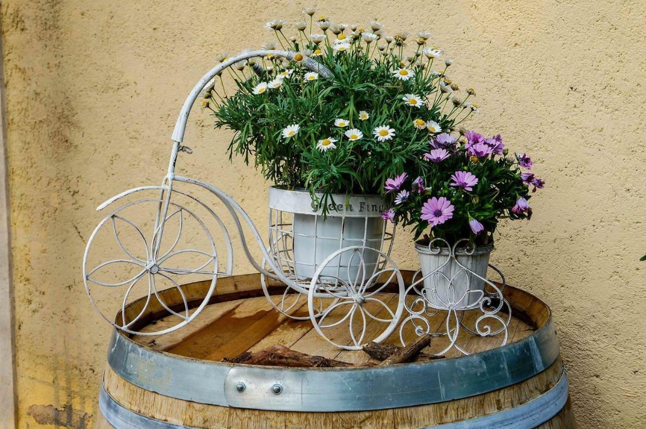 Casale Del Sole Garda Bed & Breakfast Monzambano Exterior photo